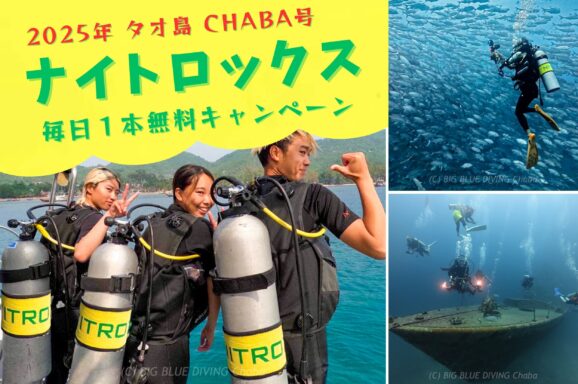 ナイトロックス無料キャンペーン！