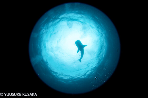 Big Blue・今日の海ログ 2025/10/24