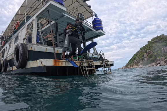 Big Blue・今日の海ログ 2025/10/28