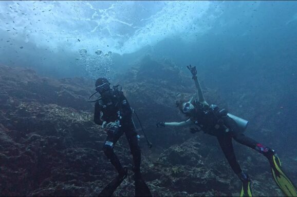 Big Blue・今日の海ログ 2025/11/28