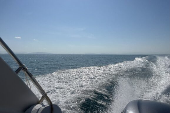 Big Blue・今日の海ログ 2025/11/30