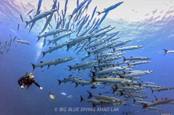 Big Blue・今日の海ログ 2025/12/22