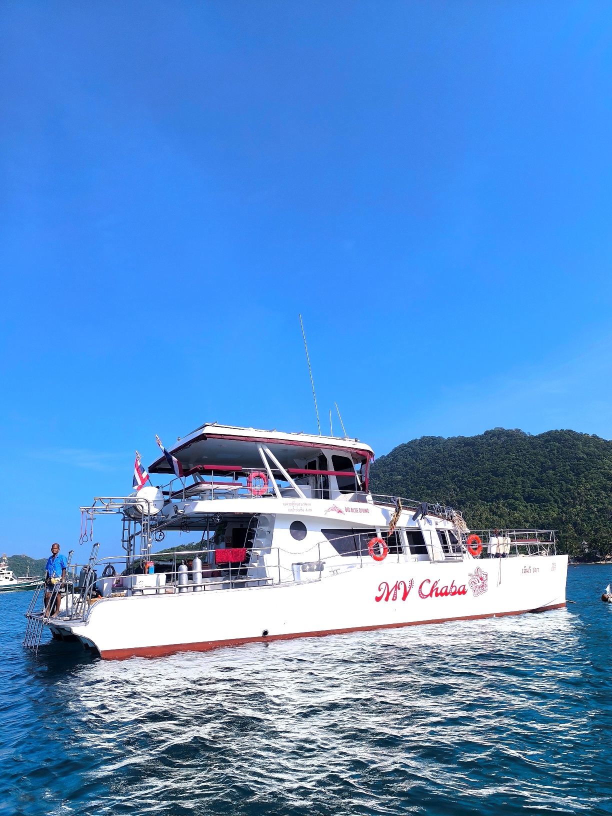 Big Blue・今日の海ログ 2026/1/25 - ビッグブルーダイビングビッグ