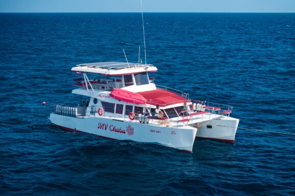 MV Chaba がパワーUPしました！