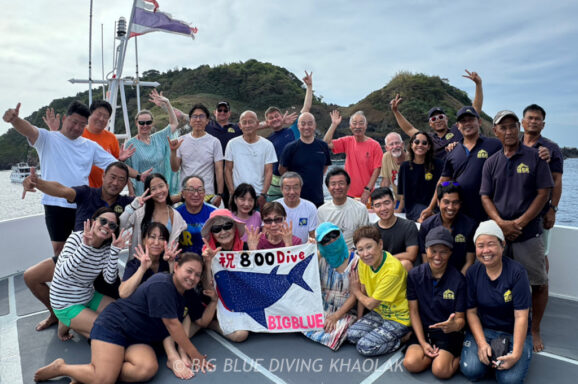 Big Blue・今日の海ログ 2026/02/15〜02/19