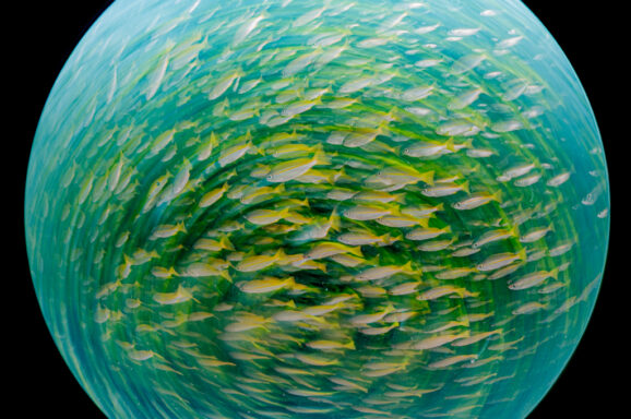 Big Blue・今日の海ログ 2026/2/24