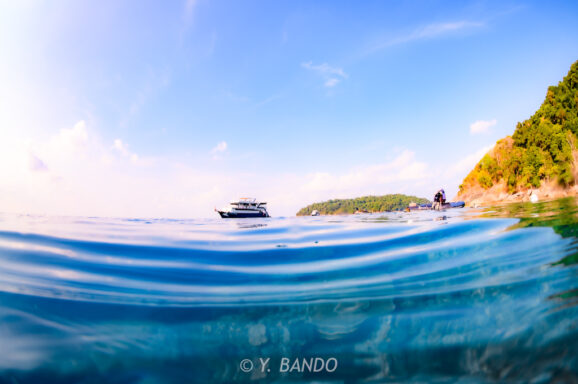 Big Blue・今日の海ログ 2026/04/03〜04/07